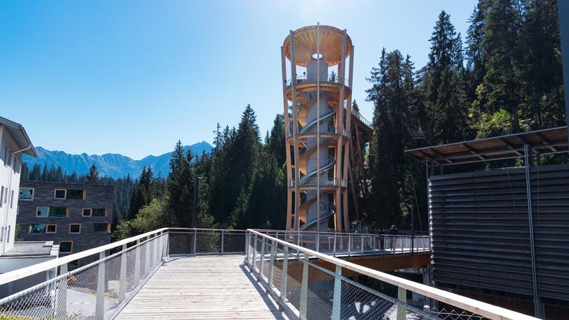 سيندا ديل دراجون