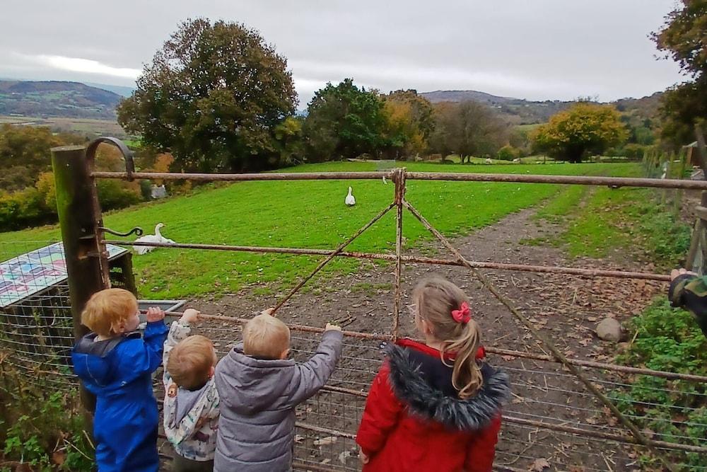 إدلويلد أنيمال سانكتواري فارم هاوس ستاي - شاريتي المنطقة المحيطة بالمنشأة