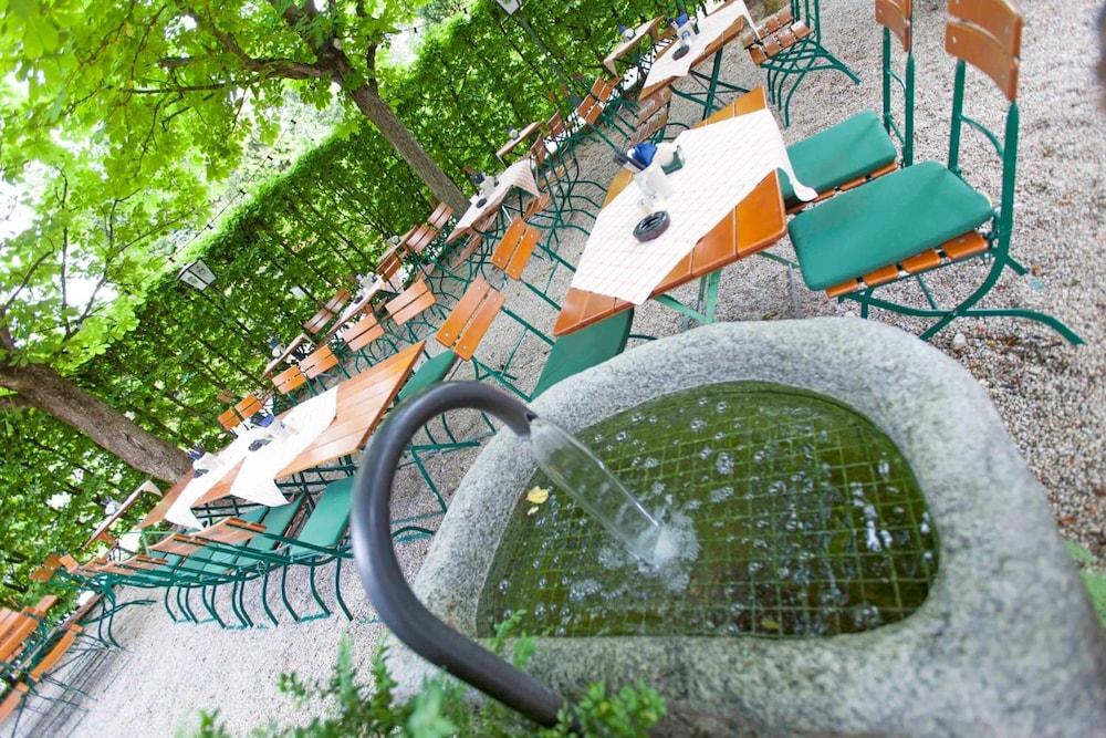 هوتل ألتر هوف المنطقة المحيطة بالمنشأة