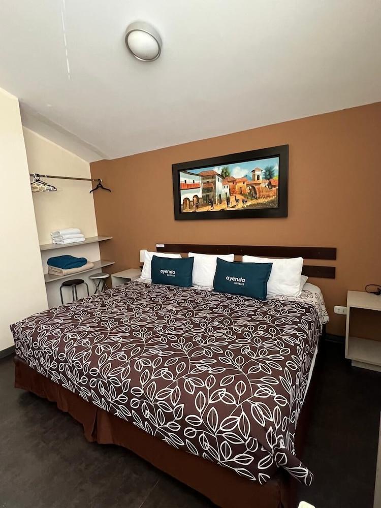 واسي أيربورت ليوا بي آند بي