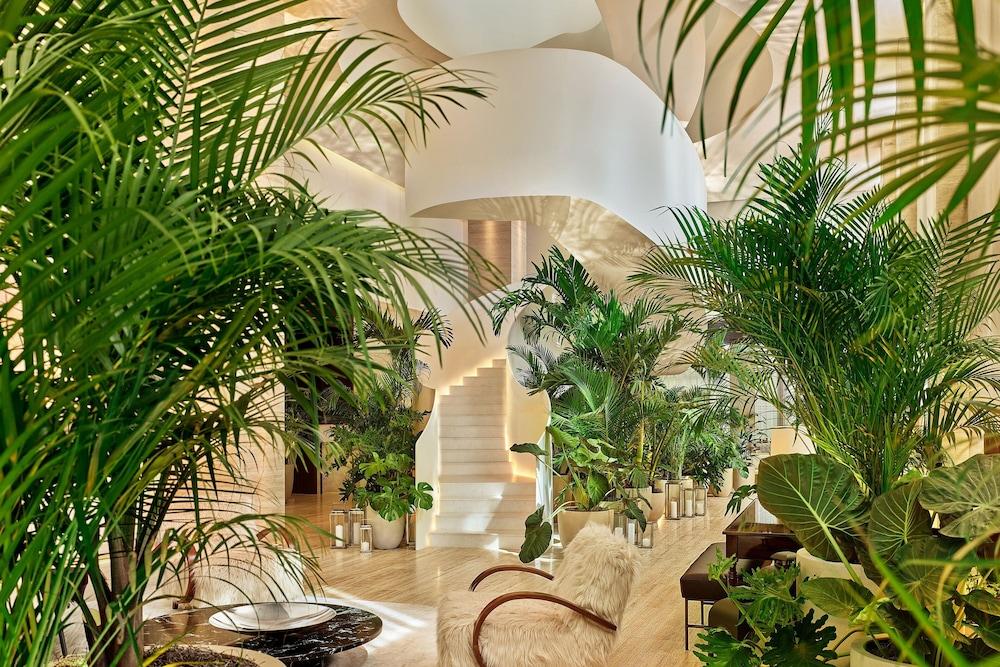 ذا تامبا إديشن