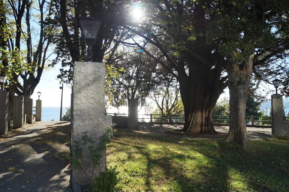 هوتل بويلشي المنطقة الخارجية