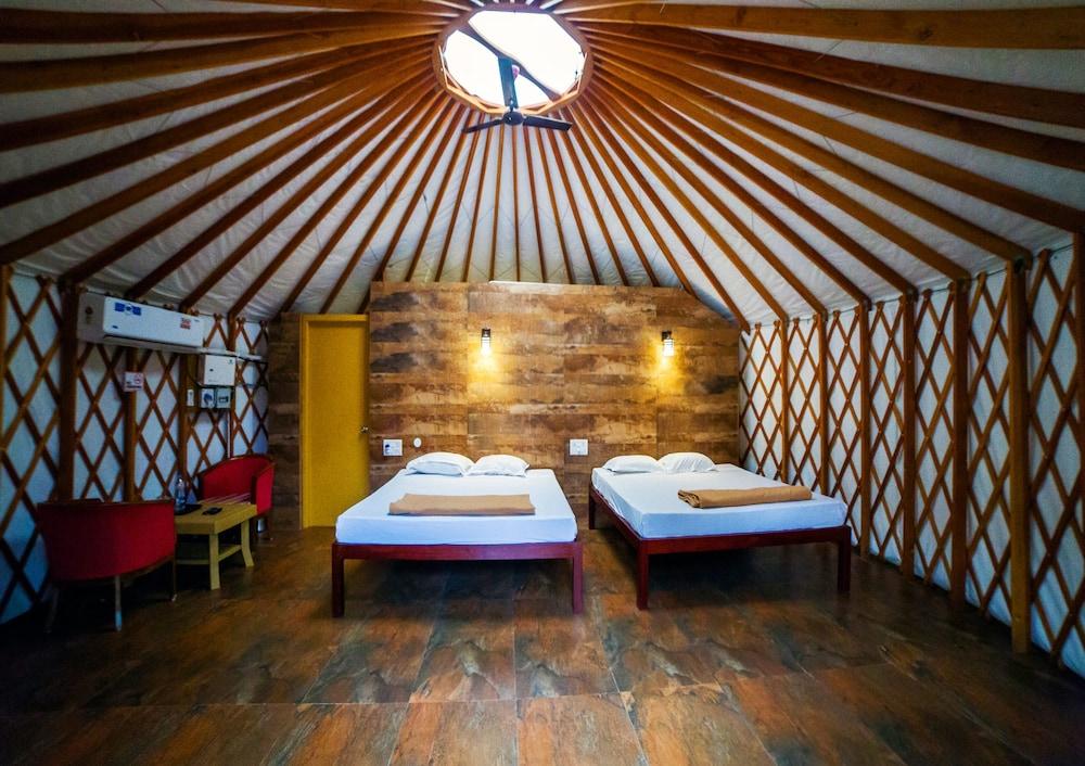 كاسورينا باي