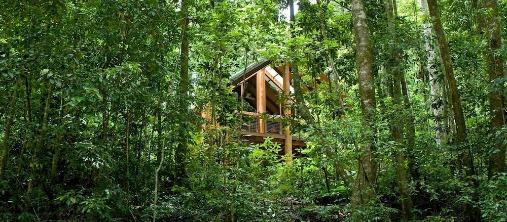 ذا كانوبي رينفوريست تريهاوسيز آند واي... تفاصيل الفندق من الخارج