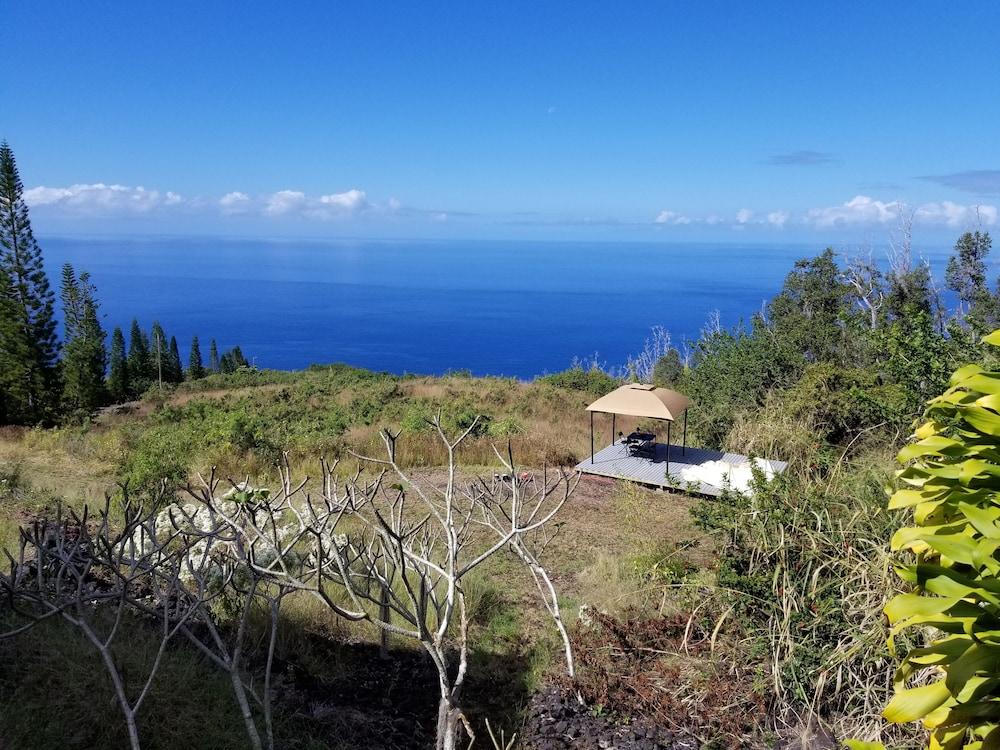 Plumeria Grove Cottage