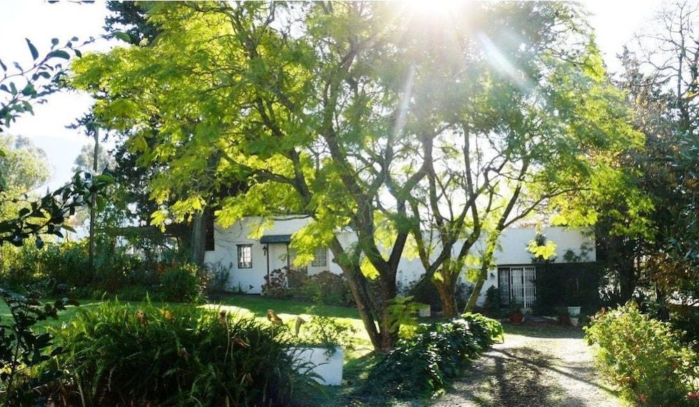 مولمونزهوف