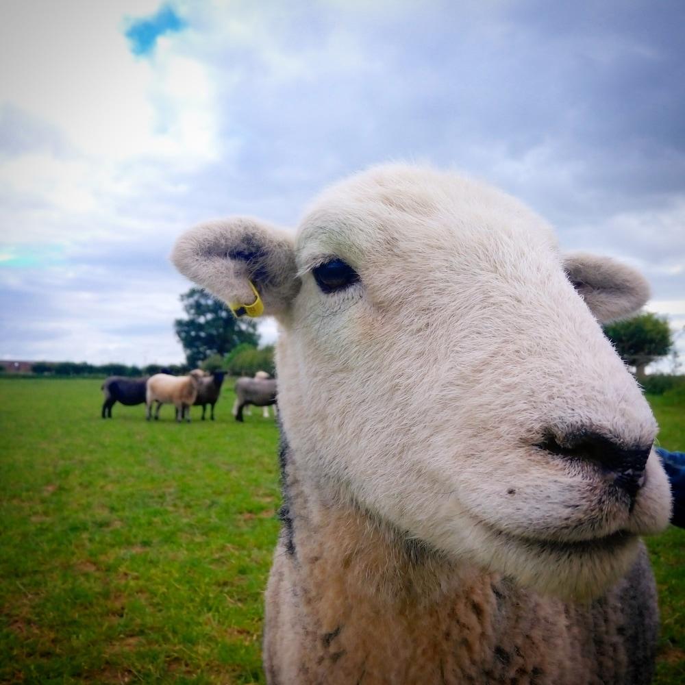 بورتون جرانج فارم هاوس بي آند بي تفاصيل الفندق من الخارج