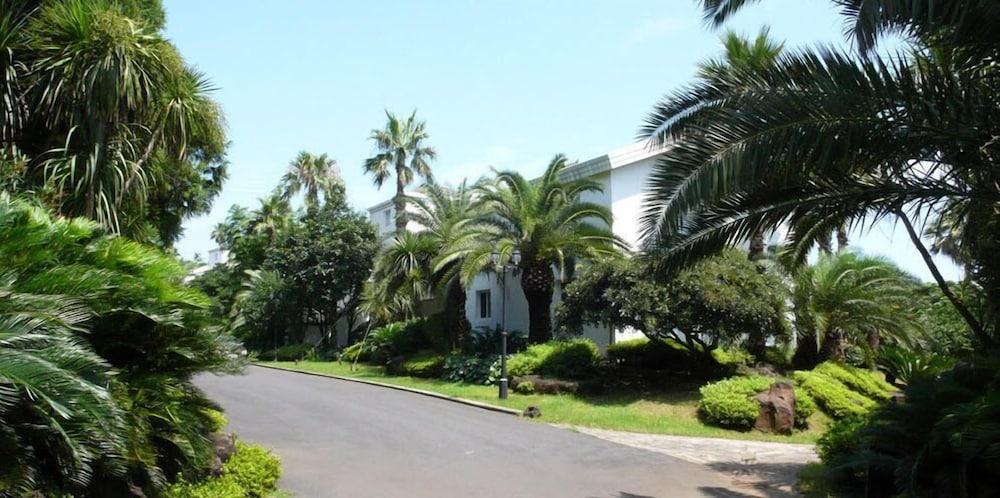 Springhill Resort Property Grounds