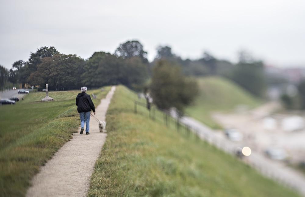 هوتل جامل هفان - جود نايت سليب تايت المنطقة الخارجية
