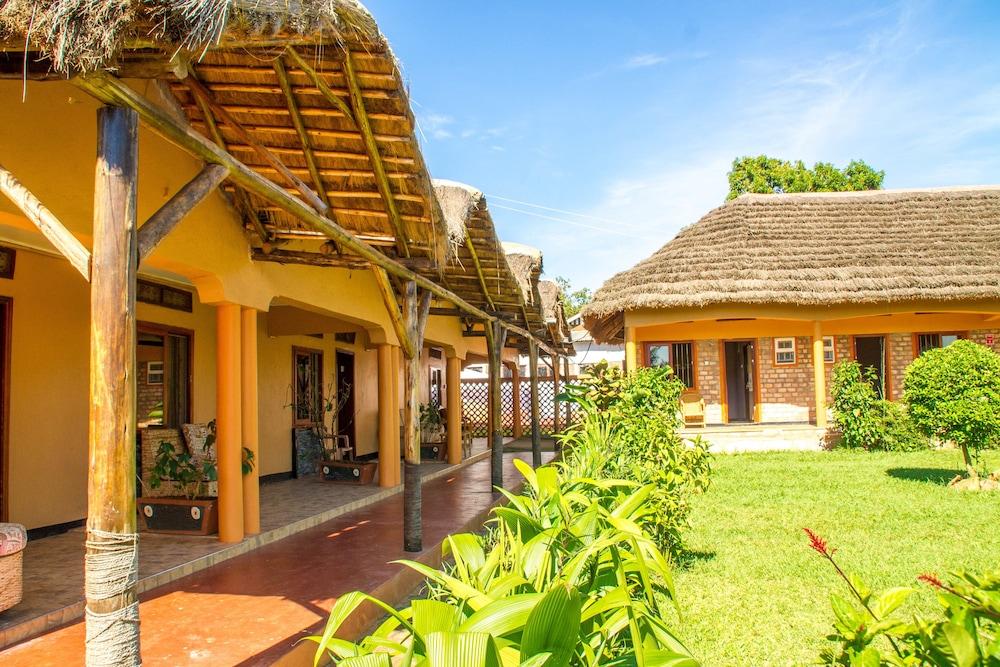 جوريلا أفريكان جست هاوس