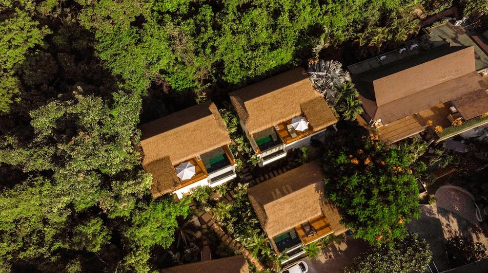 وايلد كوتيدجز لاكشري آند ناتورال - لبالغين فقط المنطقة الخارجية