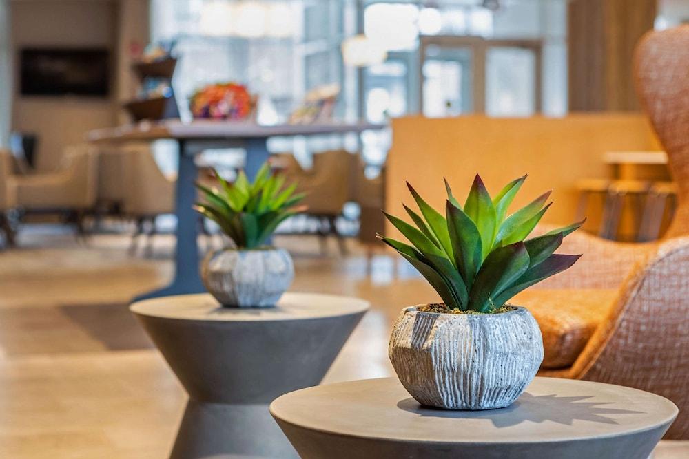 كامبريا هوتل فورت لودرديل بيتش الردهة