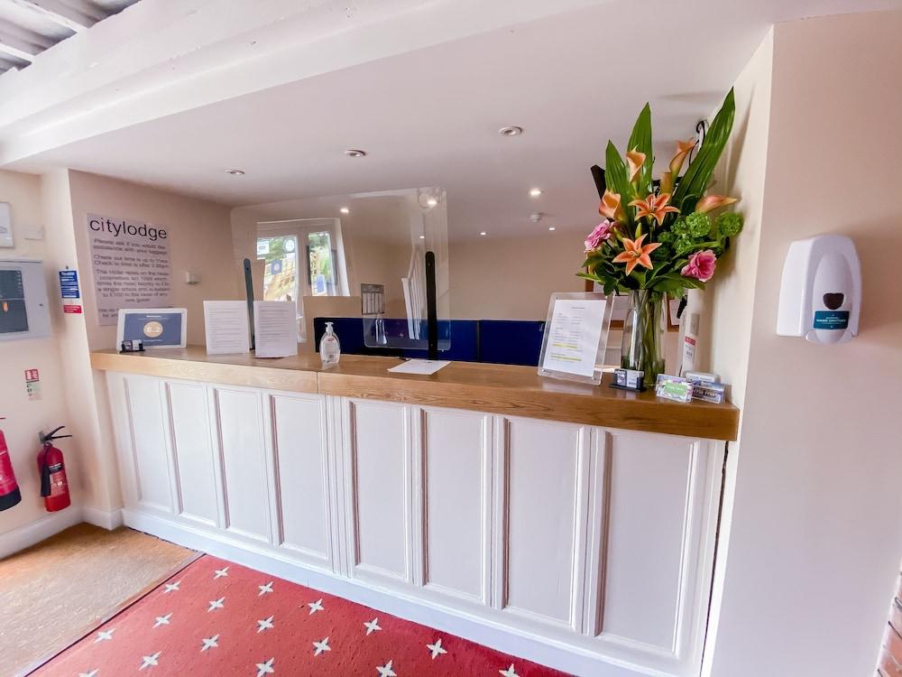 ذا آنجل هوتل منطقة الاستقبال