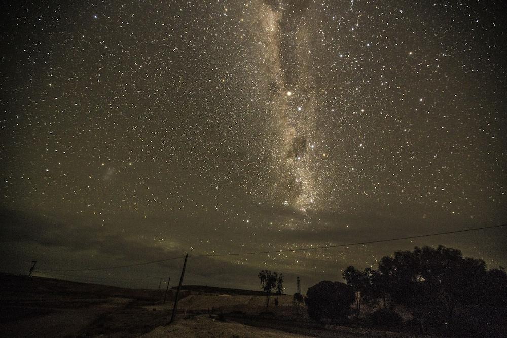 داون تو إرث بد آند بركفاست