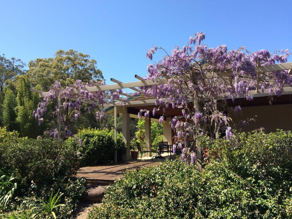 ميسكالز آت بامبولاه بي آند بي المنطقة المحيطة بالمنشأة