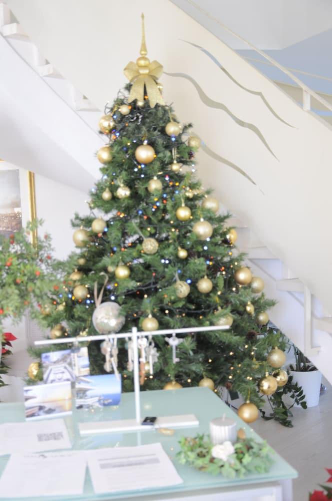 ميزون بلونش لاكشري بد آند بريكفاست تاورمينا الردهة