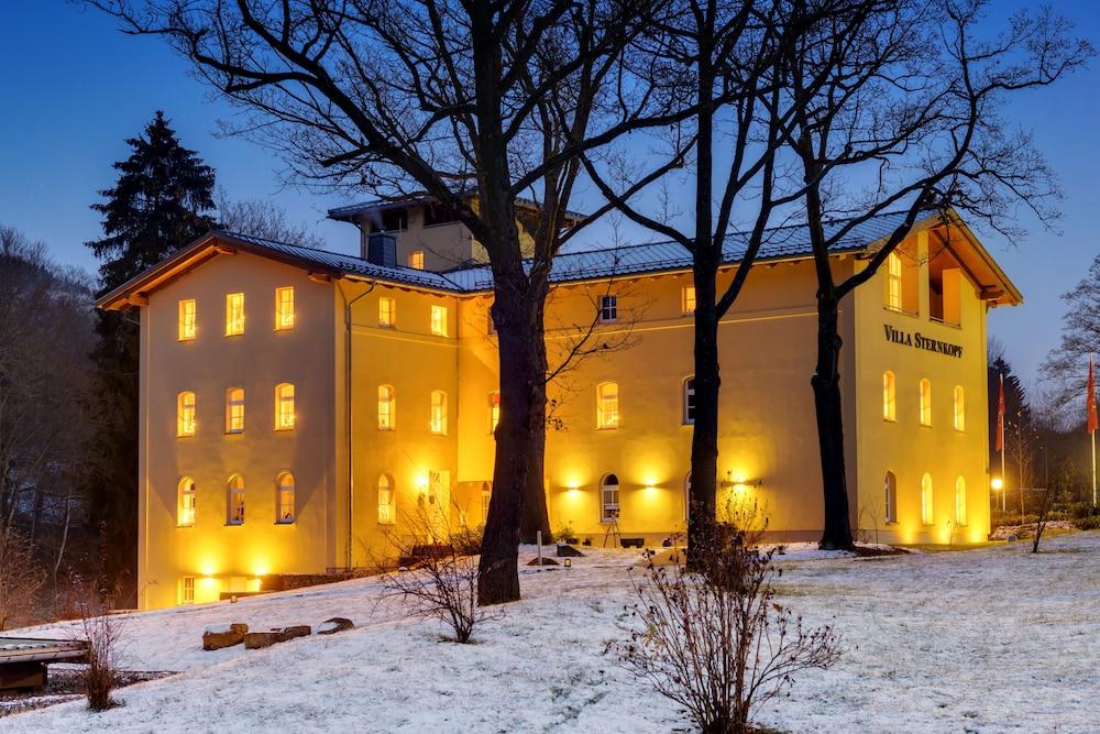 فيلا ستيرنكوف