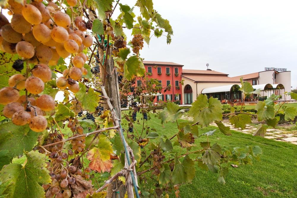 بورجو رونشيتو روليه جورمو