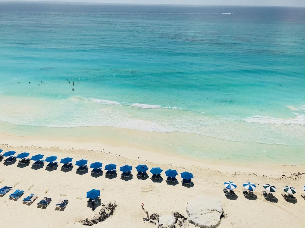 سالفيا كوندوس