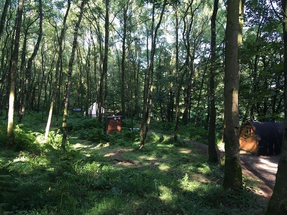 ساند جيت باي ذا سي