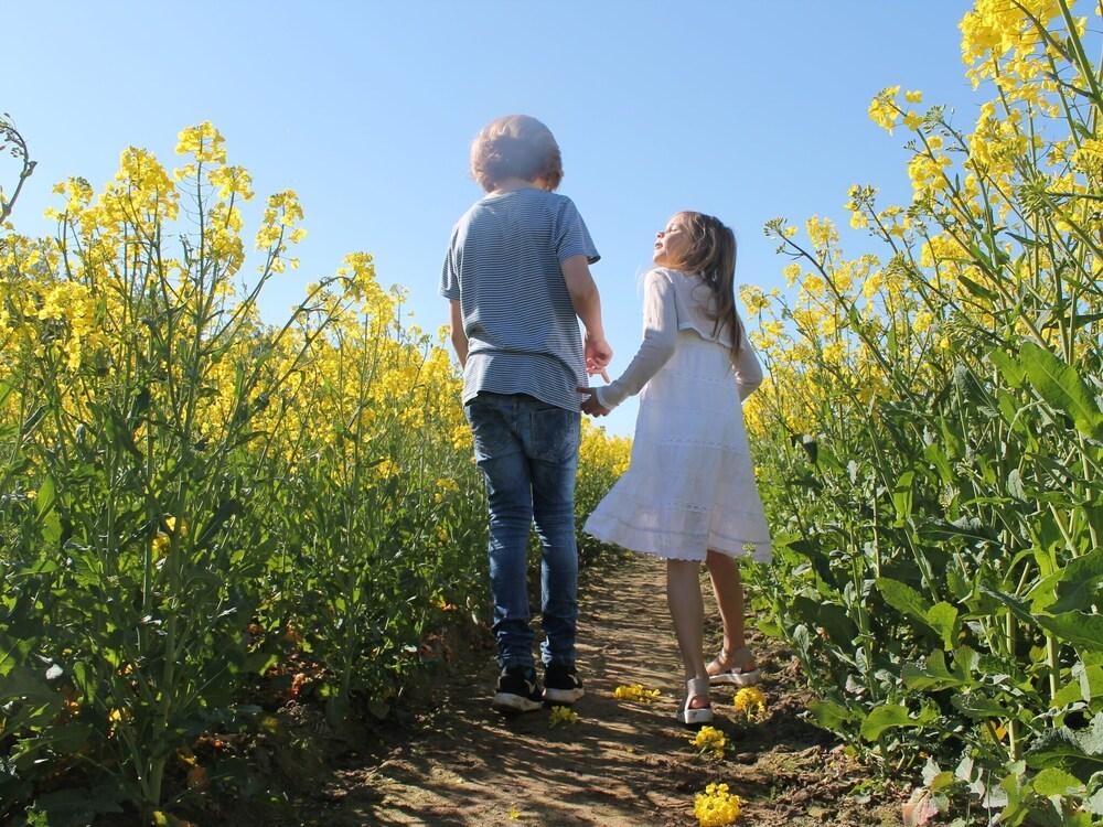 ريستفول أبارتمنت إن بروسيكن جيرماني نير سي