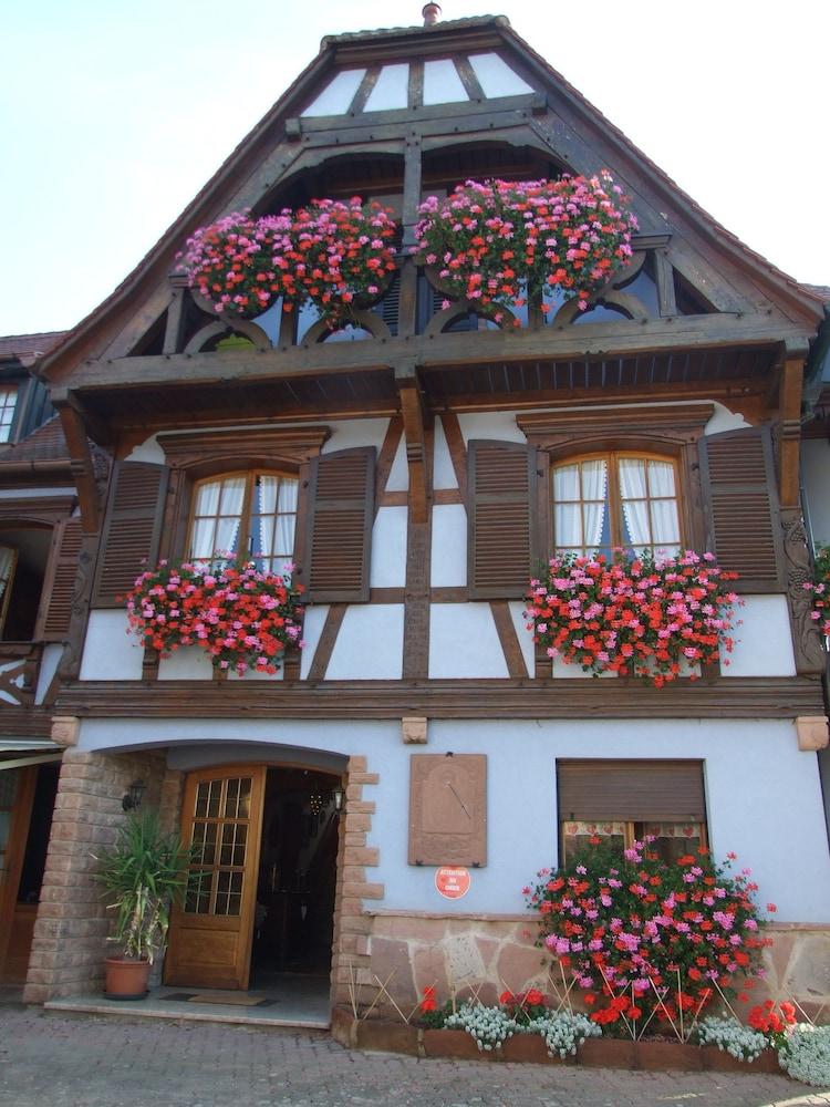 Chambres D'Hôtes Familiales Au Vigneron