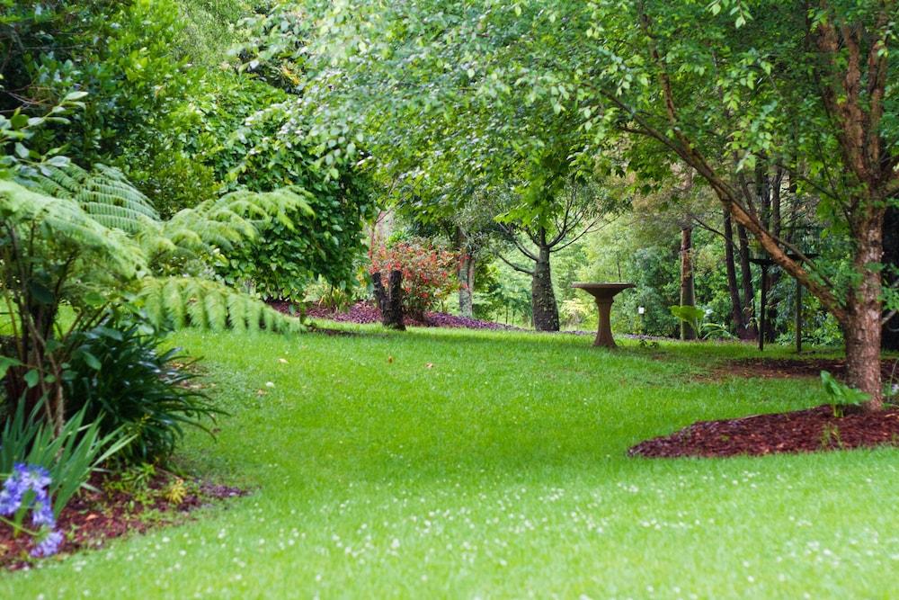 Mt Glorious Getaways Property Grounds