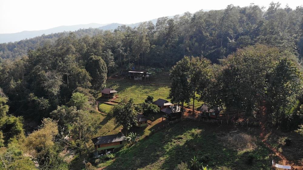 تشيانج ماي إليفانت فريندز