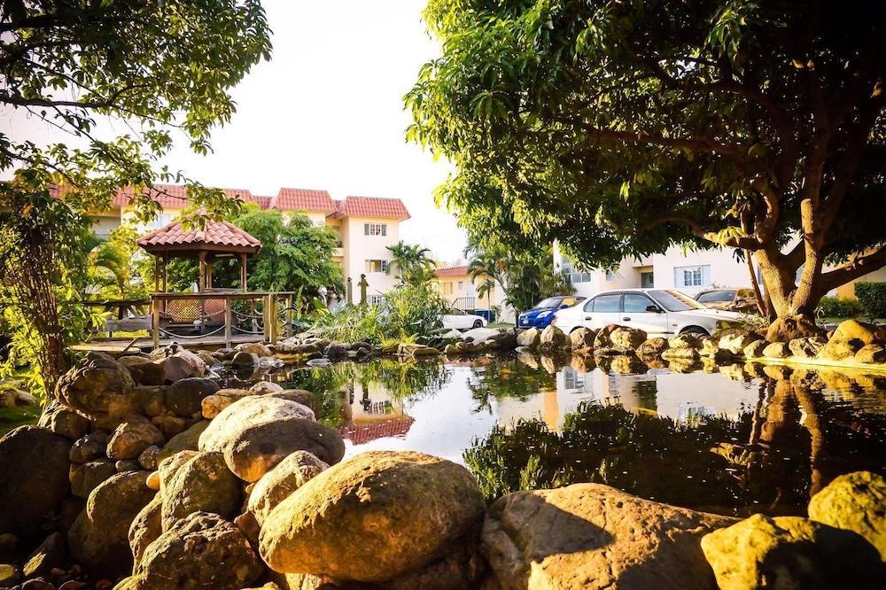 كنجستون جيست أبارتمنت آت بلانتيشن سبرينجز