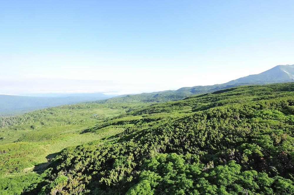 اساهيداكي أونسين هوتل دير فالي منظر من الجو