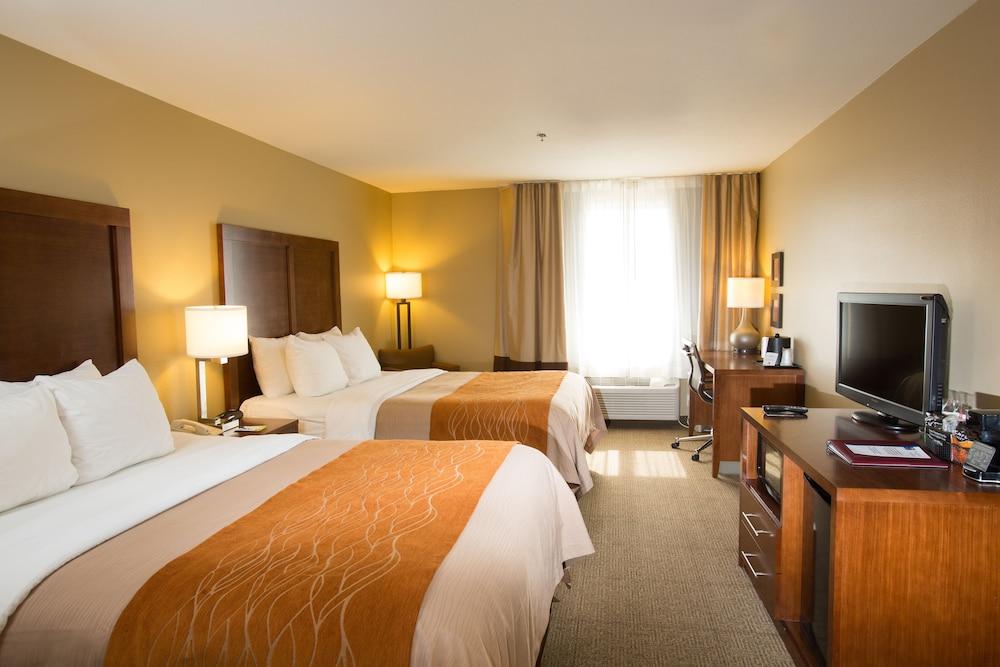 كومفورت إن آند سويتس