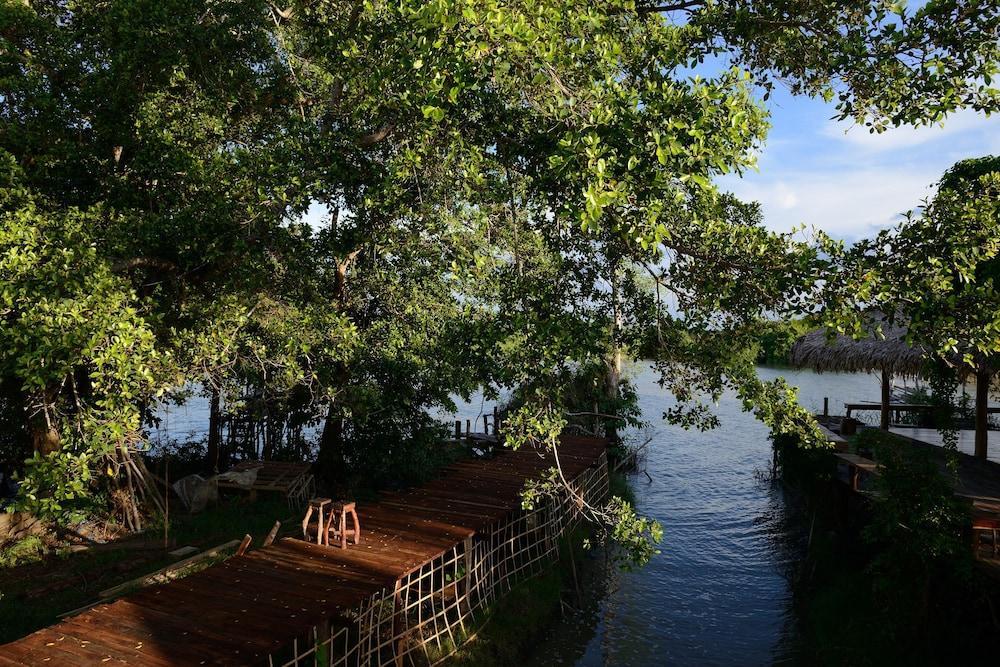 بانتونلامفو باكبرا داخلي