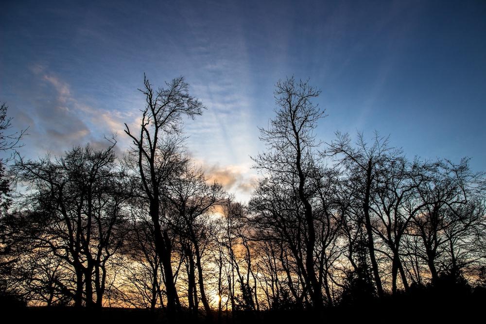 ذا ستوري تيلر أبارتمنت-شاتو لو مور المنطقة الخارجية