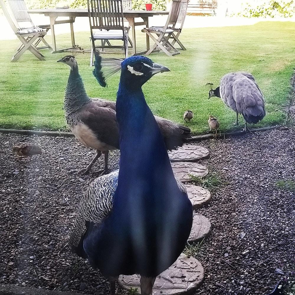 بورتون جرانج فارم هاوس بي آند بي المنطقة المحيطة بالمنشأة