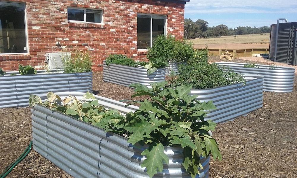 ألينينج هيلث ريتريت أند داي سبا المنطقة المحيطة بالمنشأة