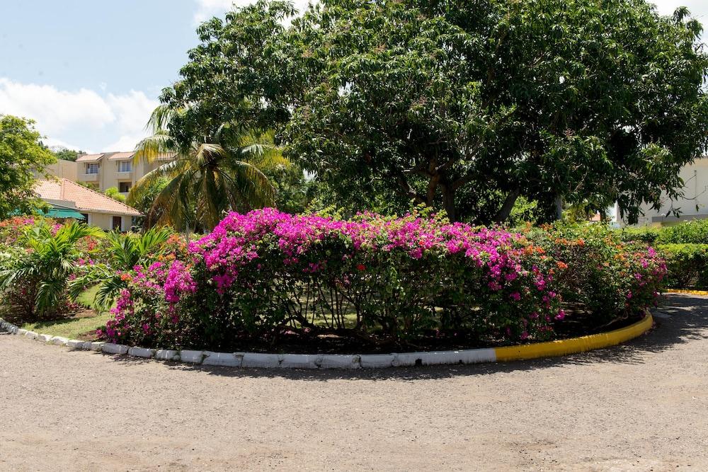 مونلايت بيتش ستوديو آت مونتيجو باي كلوب ريزورت المنطقة المحيطة بالمنشأة