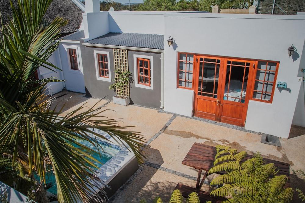 ذا وايلد برون