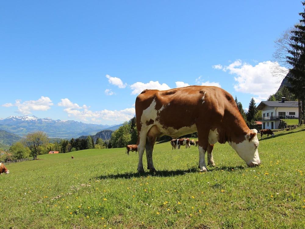 ترانكيل هوليداي هوم إن ثيرسي أون ذي إدج أوف ذا فوريست المنطقة الخارجية