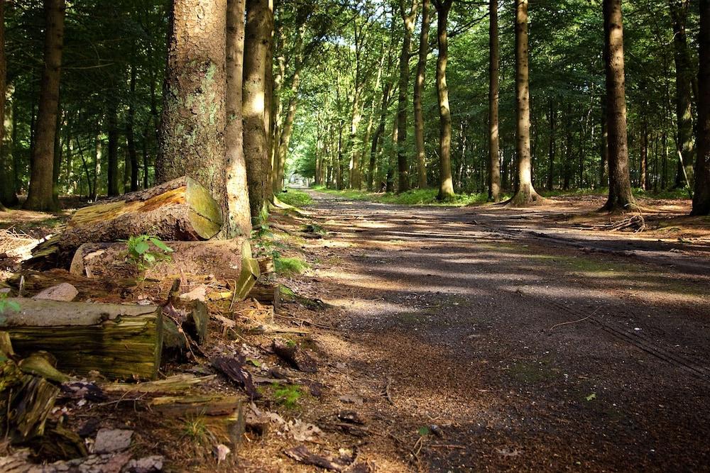 كونفيرنتيهوتل كونتكت در كونتيننتن المنطقة الخارجية