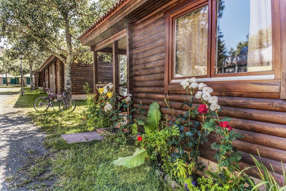 بنغالوز بويرتا دي لا ديماندا