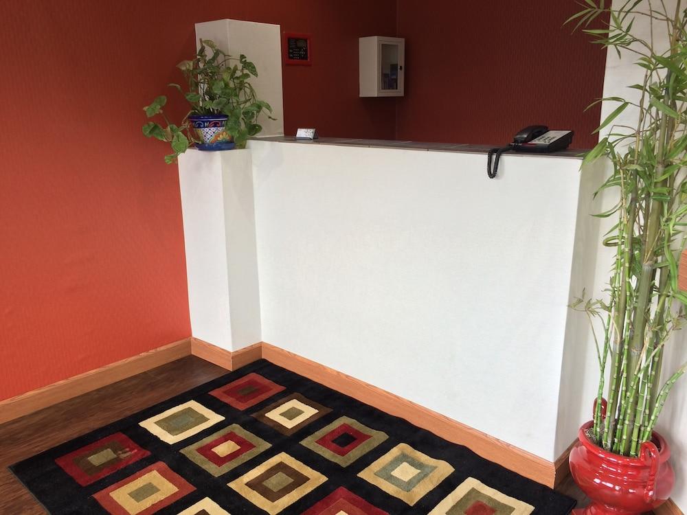 ذا إن فورذا