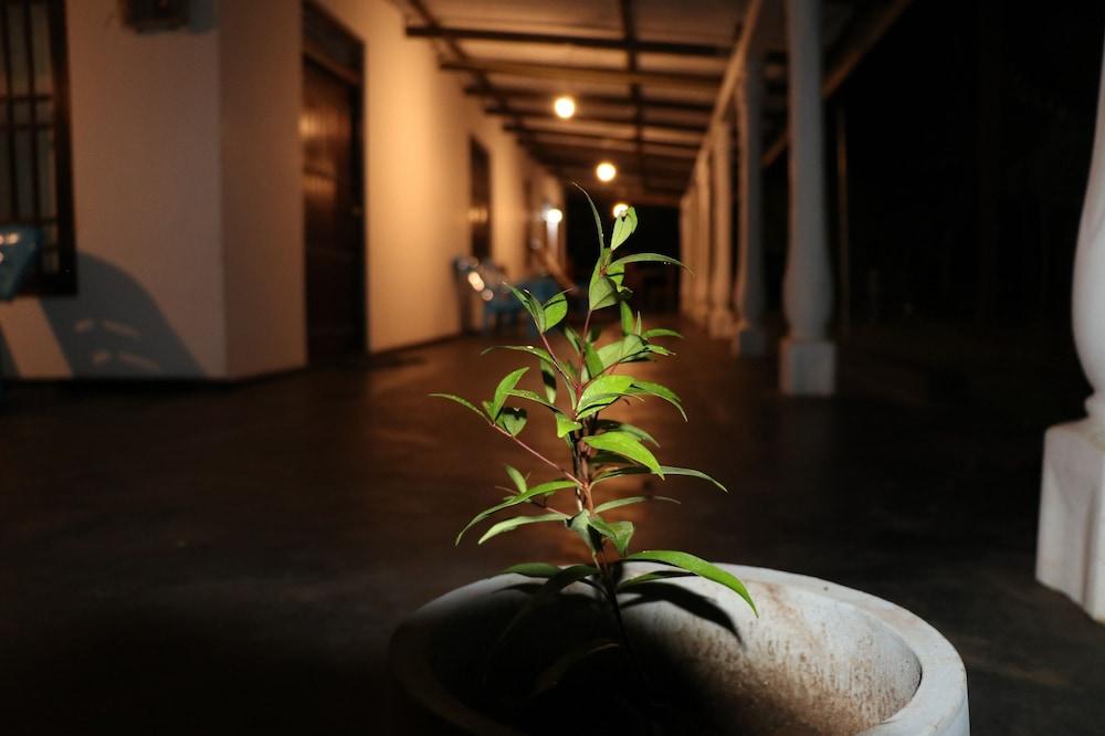 سيلون ريزورت