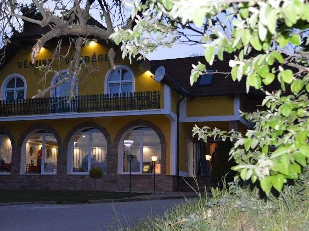 فينوس بانزيو إس فينديجلو