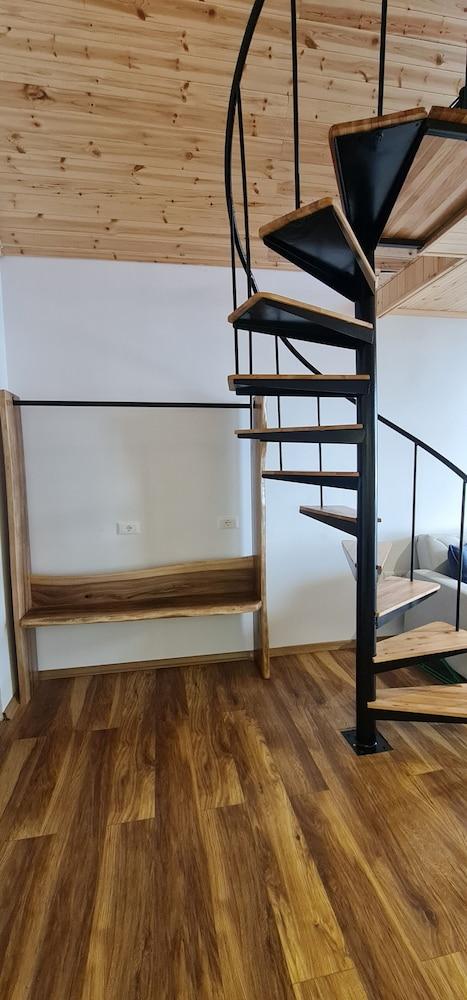 دايتي بارادايس