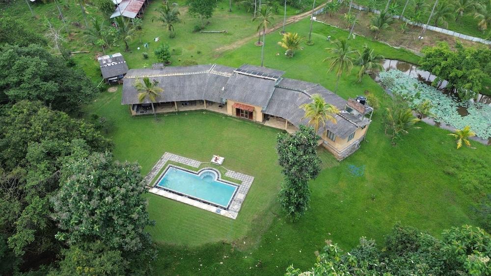 ريفينديل تويستد تري