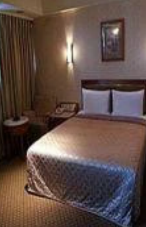 فيينا تايبي