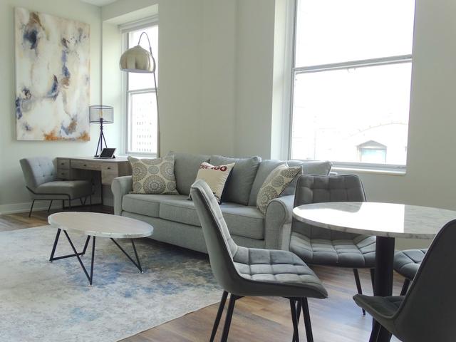 ذا شيكاجو هوتل كوليكشن - ميلينيوم بارك