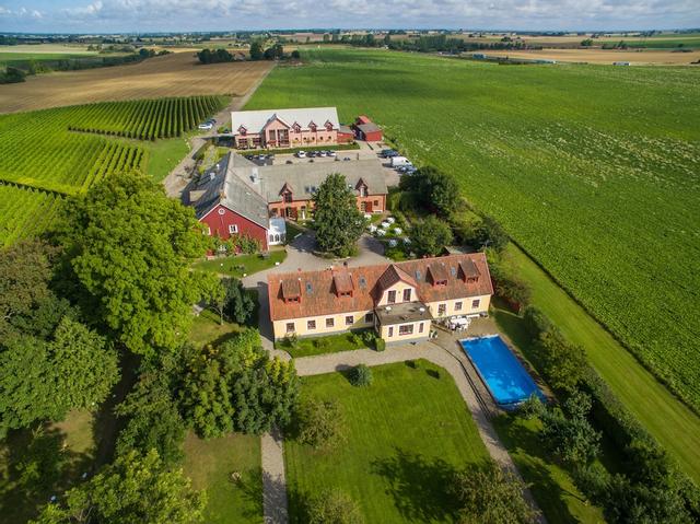 فلاديه مات آند فينغورد