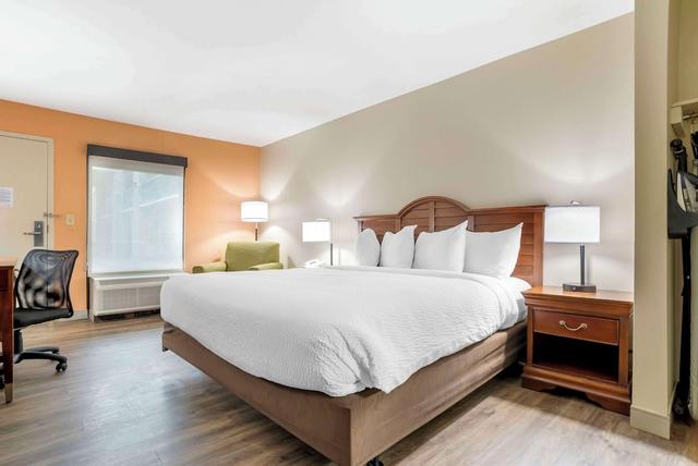 إيكونو لودج موس بوينت - باسكاغولا