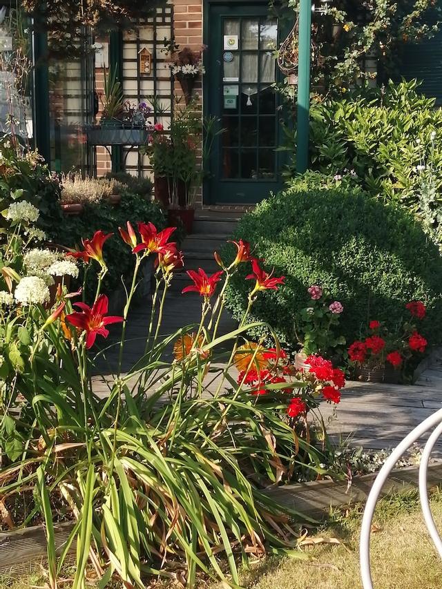 لو فرين فرينجو